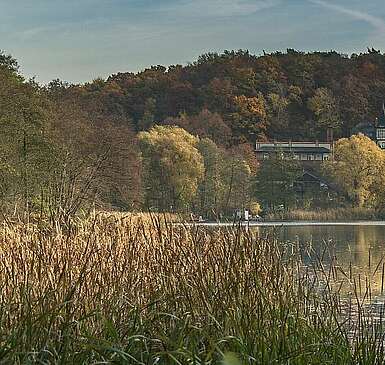 Blick auf den Schermützelsee bei Buckow