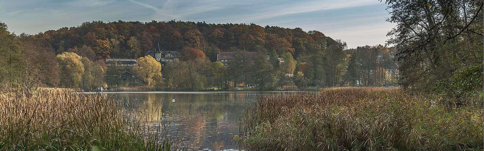 Blick auf den Schermützelsee bei Buckow