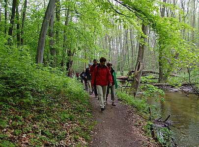 Wanderer auf der Naturparkroute in der Märkischen Schweiz