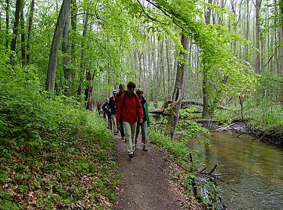 Wanderer auf der Naturparkroute in der Märkischen Schweiz