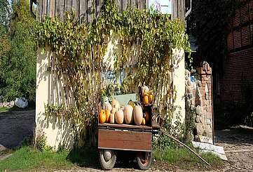 Kürbiswagen