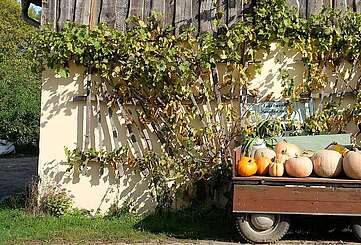 Kürbiswagen