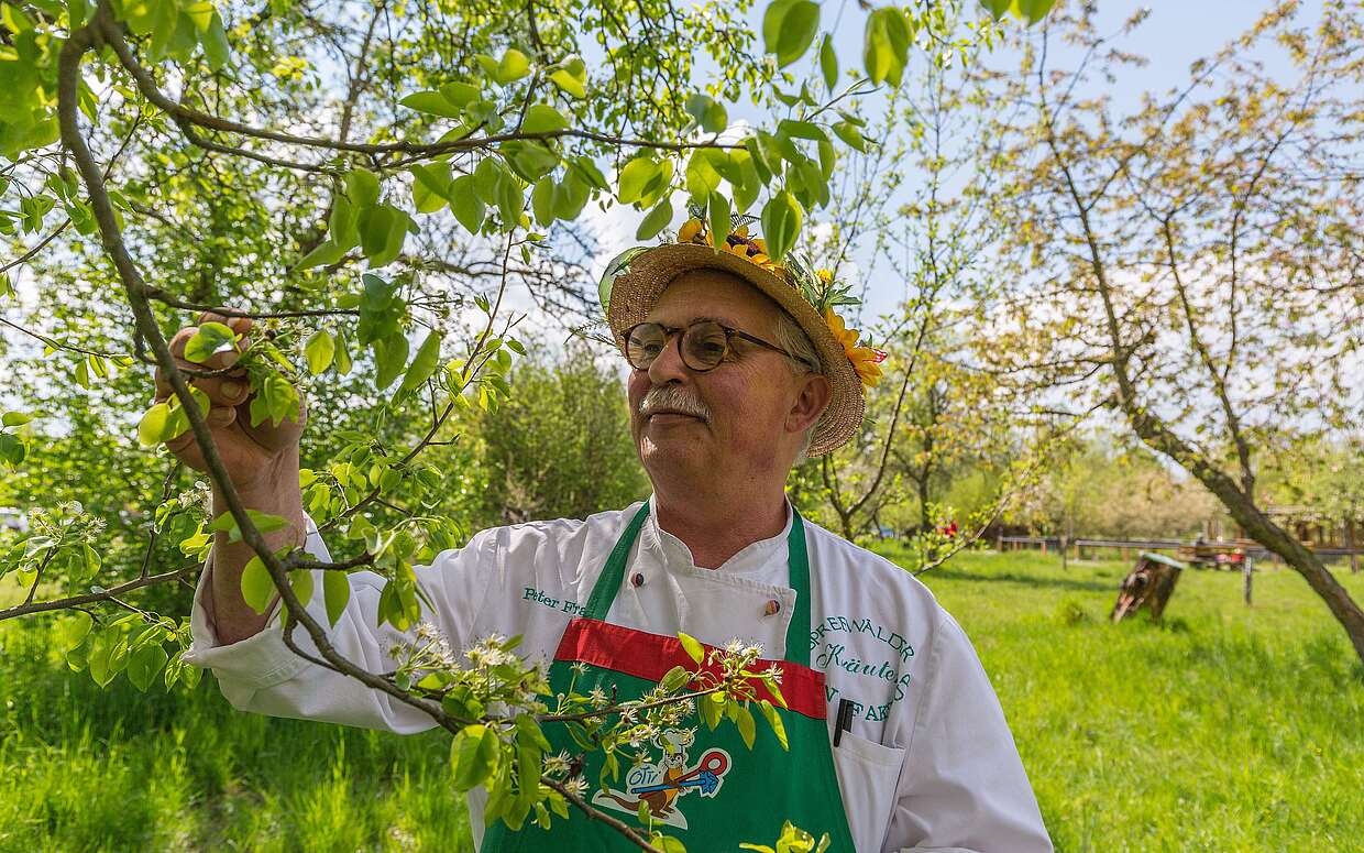 Peter Franke von der Spreewälder Kräutermanufaktur