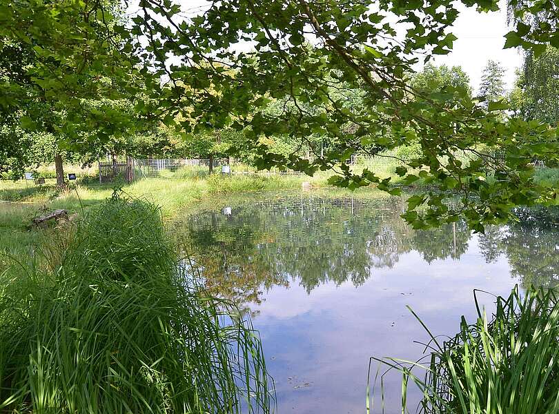 25 Teiche in Rottstock