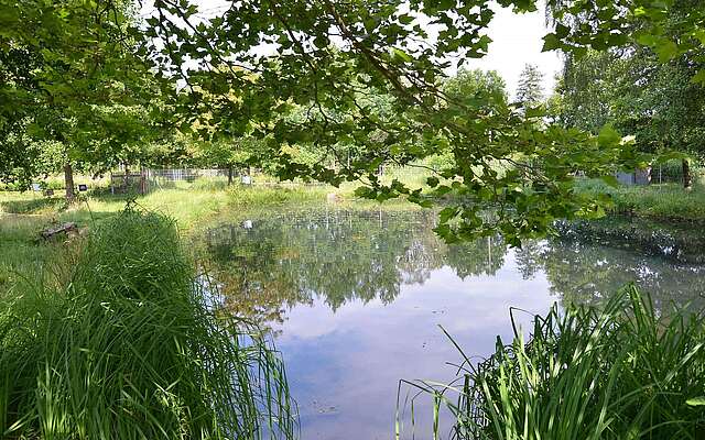 25 Teiche in Rottstock