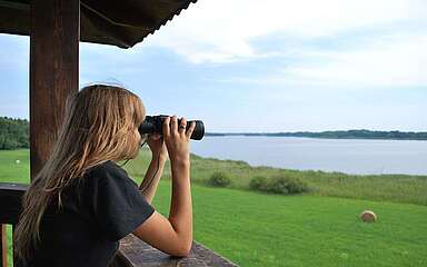 Aussichtspunkt am Groß Schauener See