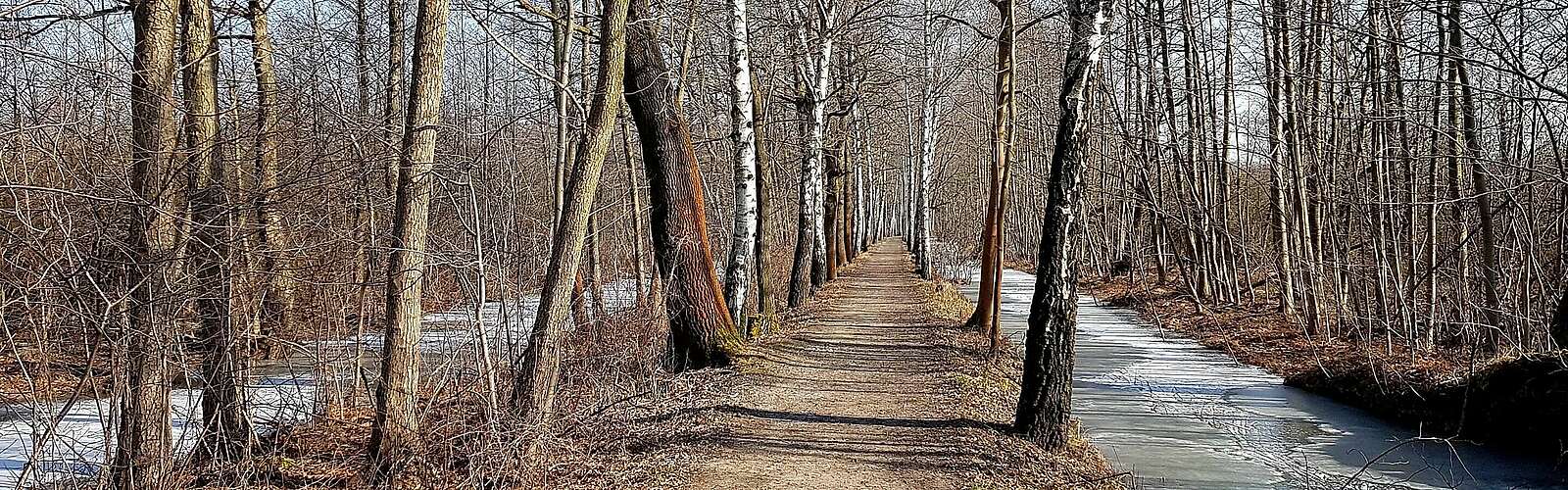 Spreewald im Winter