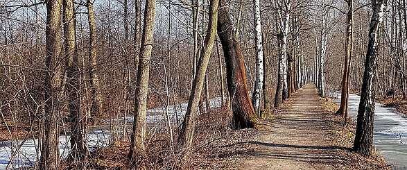 Spreewald im Winter