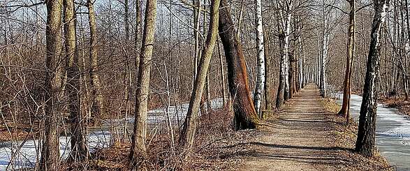 Spreewald im Winter