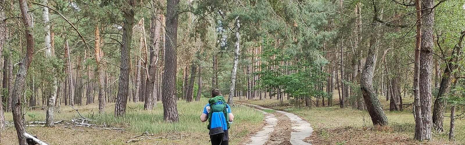 Wanderung zum Götzer Berg