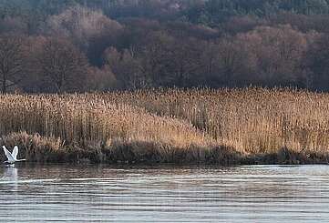 Kanuwanderer auf der Oder