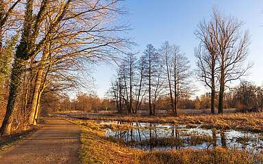 Winterlicher Spreewald zwischen Lübbenau und Lehde