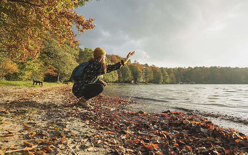 Am Stechlinsee im Herbst