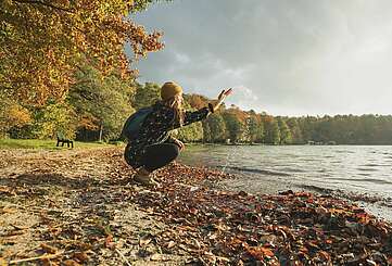 Am Stechlinsee im Herbst