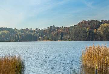 Der Schermützelsee bei Buckow