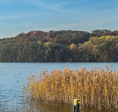 Der Schermützelsee bei Buckow
