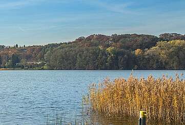 Der Schermützelsee bei Buckow