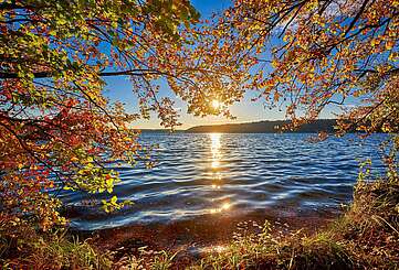 Herbst am Stechlinsee