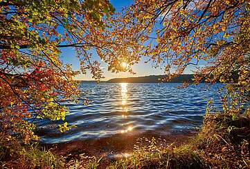 Herbst am Stechlinsee
