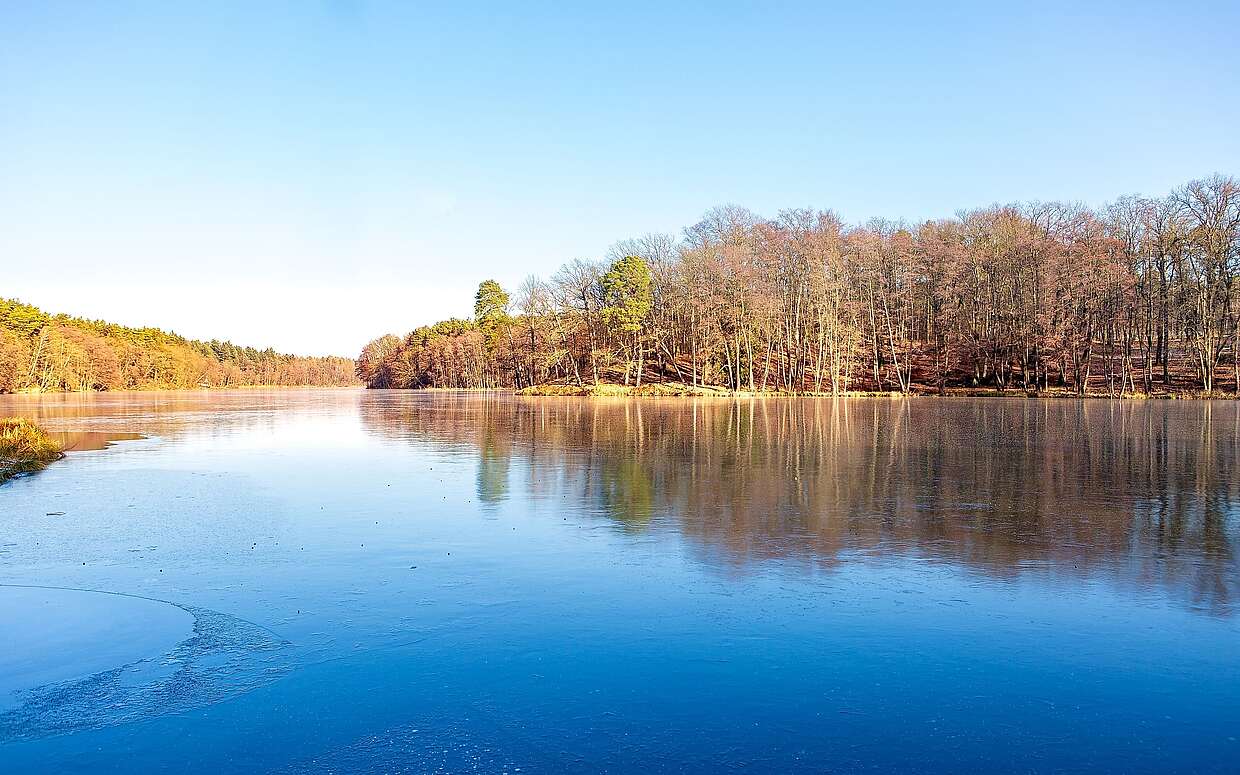 Unterwegs am Madlitzer See im Winter