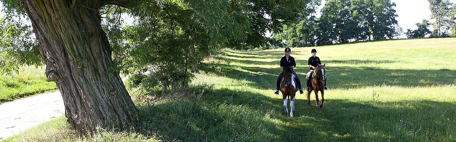 Reiten in der Uckermark