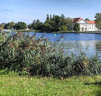 Besucher am Ufer des Grienericksees vor dem Schloss Rheinsberg