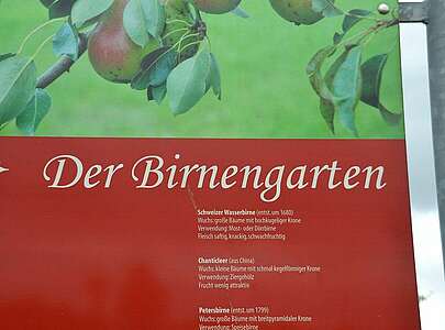 Birnengarten Ribbeck