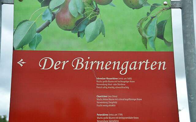 Birnengarten Ribbeck