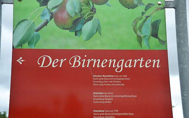 Birnengarten Ribbeck