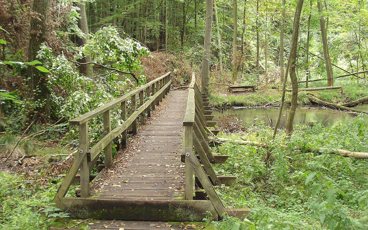 Über diese Brücke muss man gehen, um die Schwärze zu überqueren und um zur Herthaquelle zu gelangen.