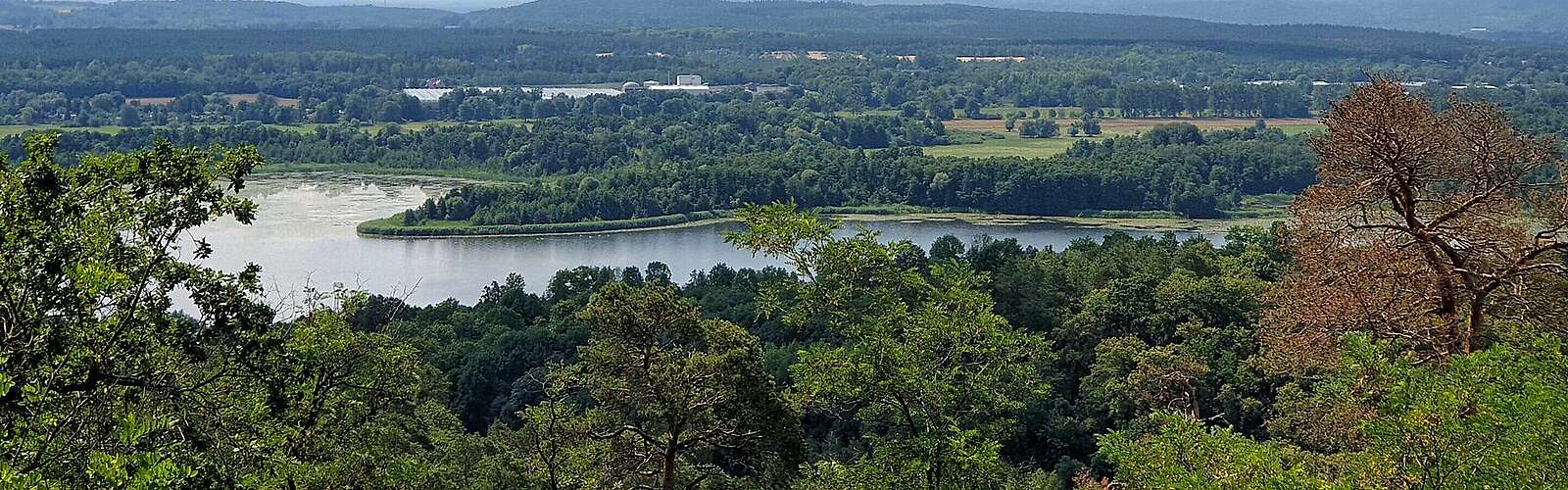 Oderberger See
