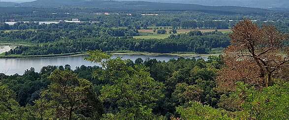 Oderberger See
