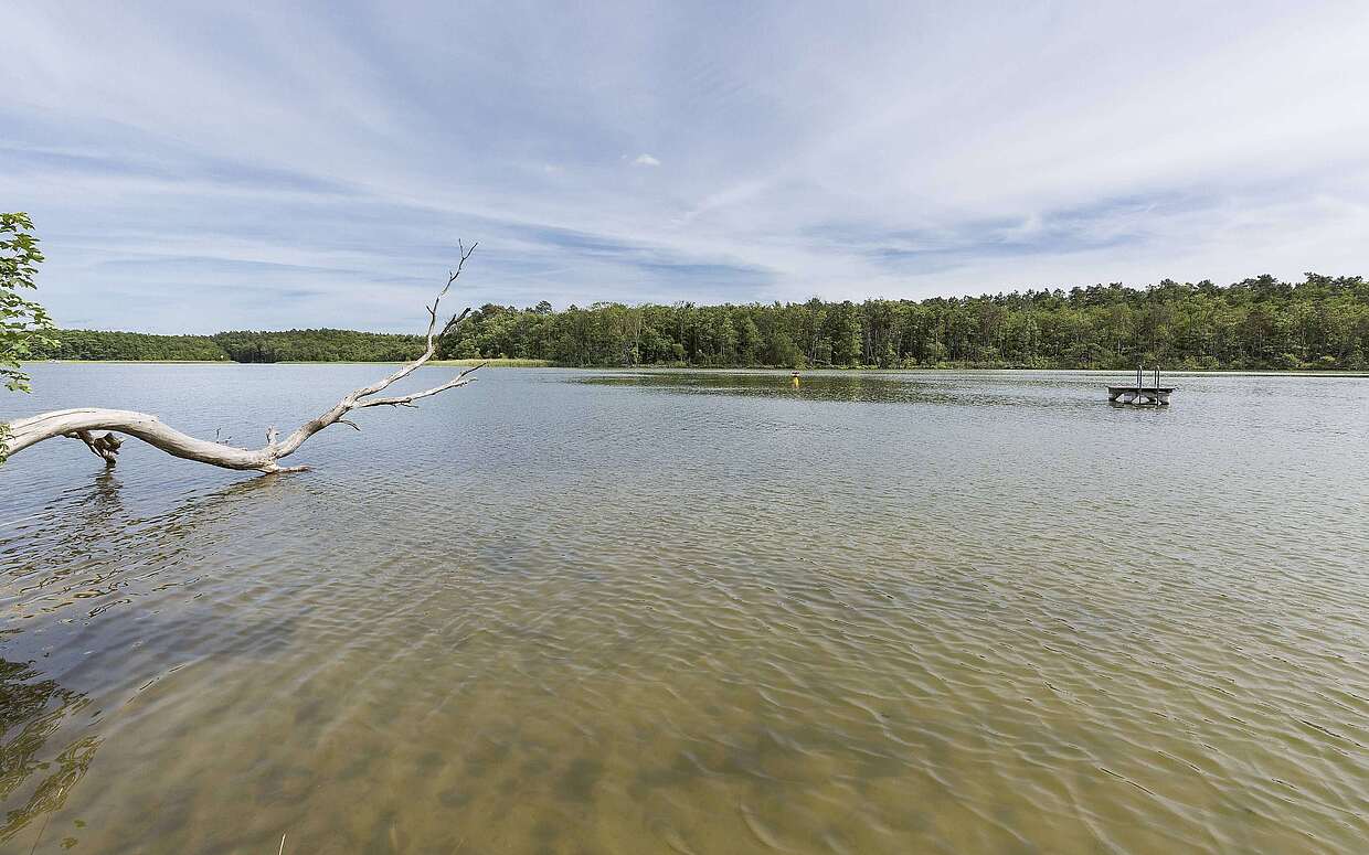 Badestelle am Haussee