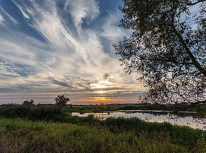 Im Naturpark Westhavelland