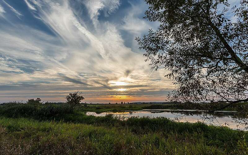 Im Naturpark Westhavelland