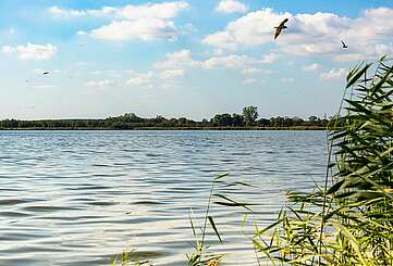 Blankensee