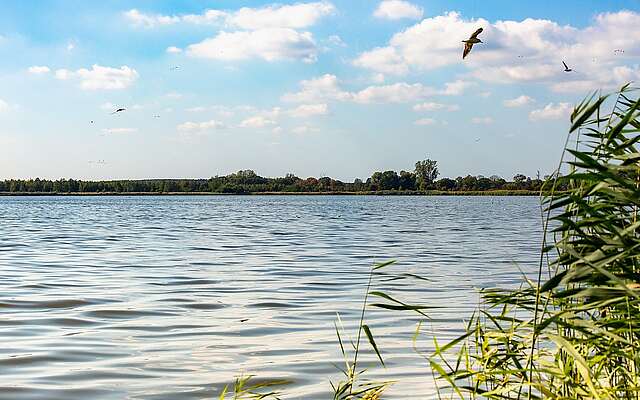 Blankensee Blankensee