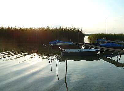 Ruderboote auf dem Oberuckersee in der Uckermark