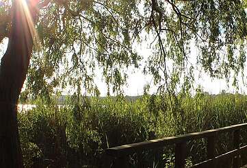 Steg in Blankensee