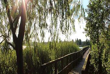 Steg in Blankensee