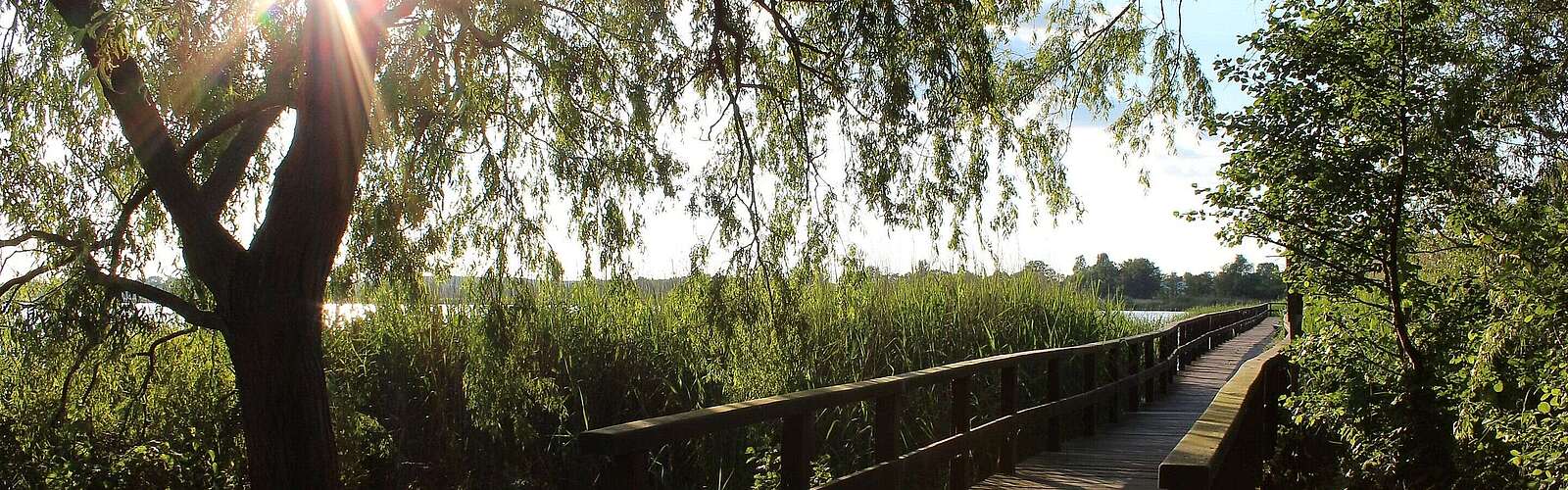 Steg in Blankensee