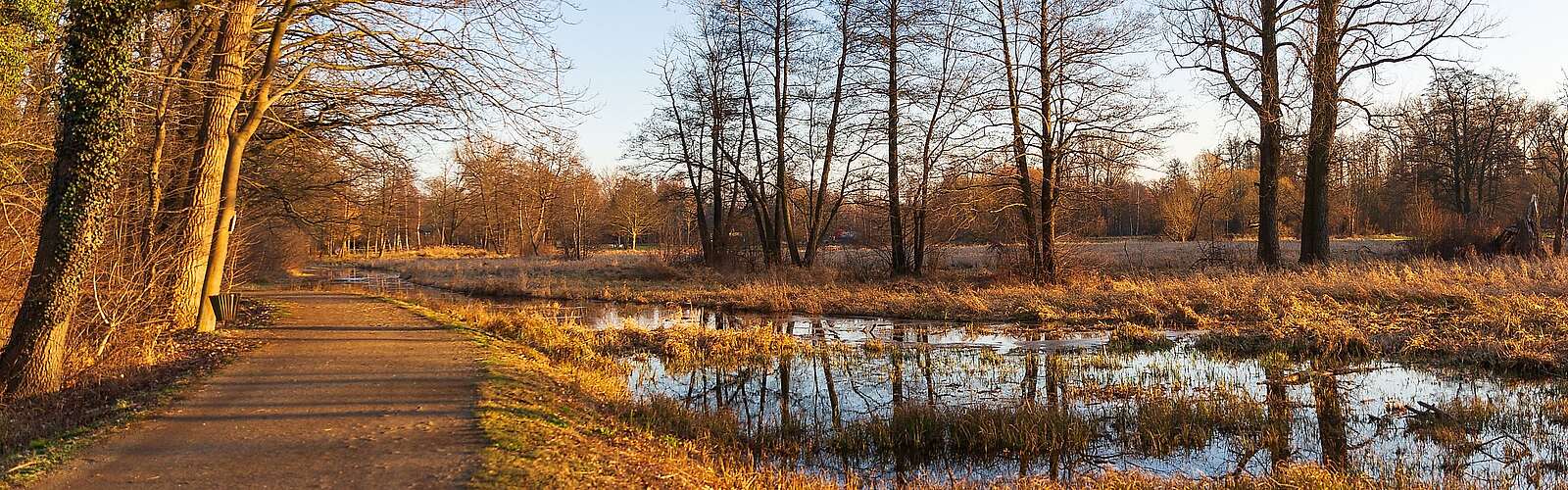 Winterlicher Spreewald zwischen Lübbenau und Lehde