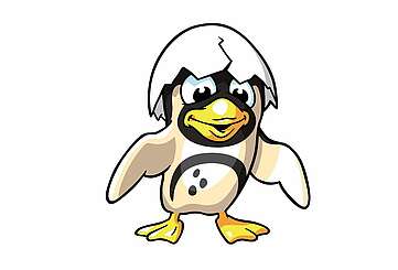 Pinguin mit Schalenhut