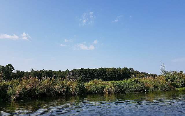 Uferlandschaft im Spreewald