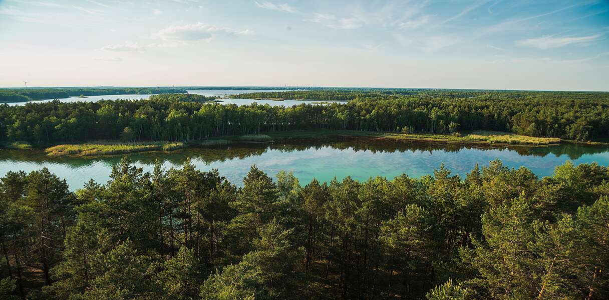 Blick auf Senftenberger See