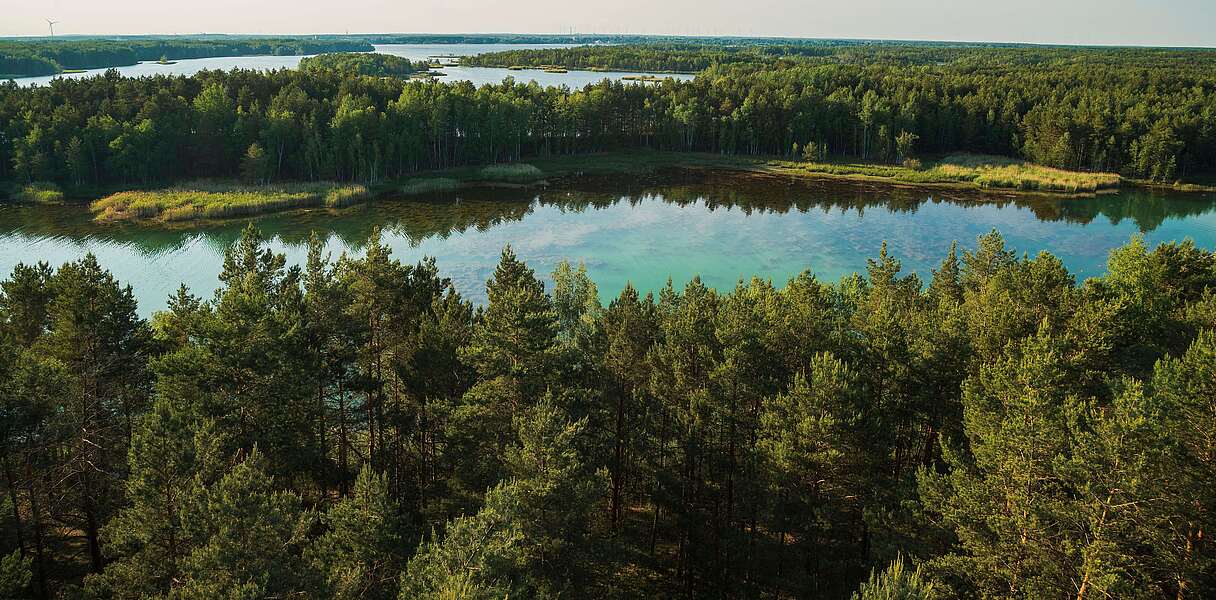 Blick auf Senftenberger See