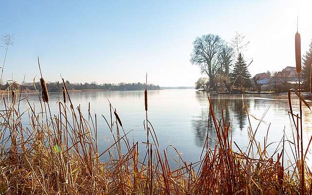 Müllroser See im Winter