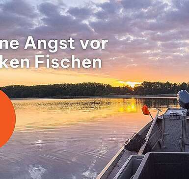 Naturgut Köllnitz