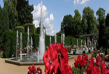 Ostdeutscher Rosengarten in Forst (Lausitz)