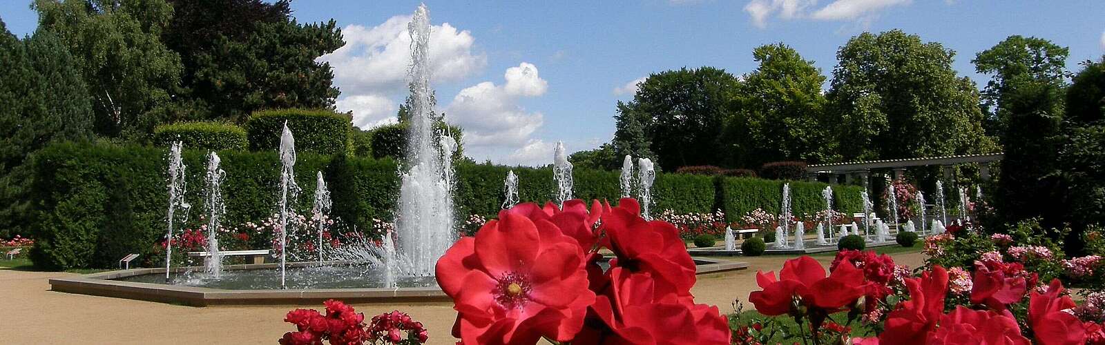 Ostdeutscher Rosengarten in Forst (Lausitz)